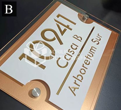 Placa Elegante Modelo 4 - Imagen 2