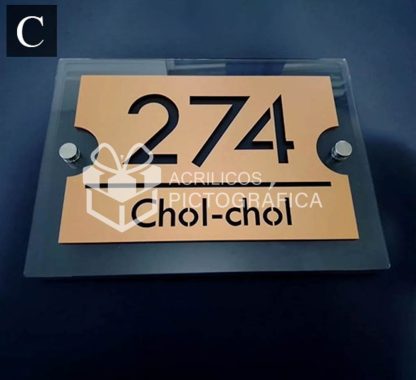 Placa Elegante Modelo 4 - Imagen 3