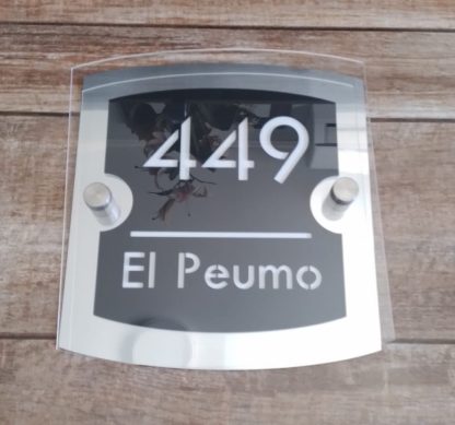 Placa elegante modelo 1 - Imagen 2