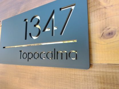 Placa Elegante Modelo 5