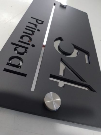 Placa Elegante Modelo 5 - Imagen 2