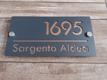 Placa Elegante Modelo 5 - Imagen 4